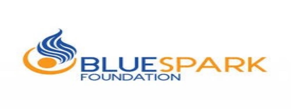 Blue Spark Foundation supporter logo